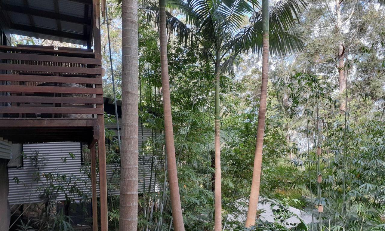 Alaya Escape Bed & Breakfast Eudlo Dış mekan fotoğraf