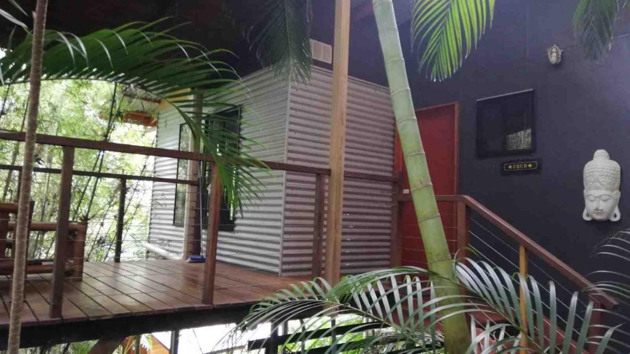 Alaya Escape Bed & Breakfast Eudlo Dış mekan fotoğraf