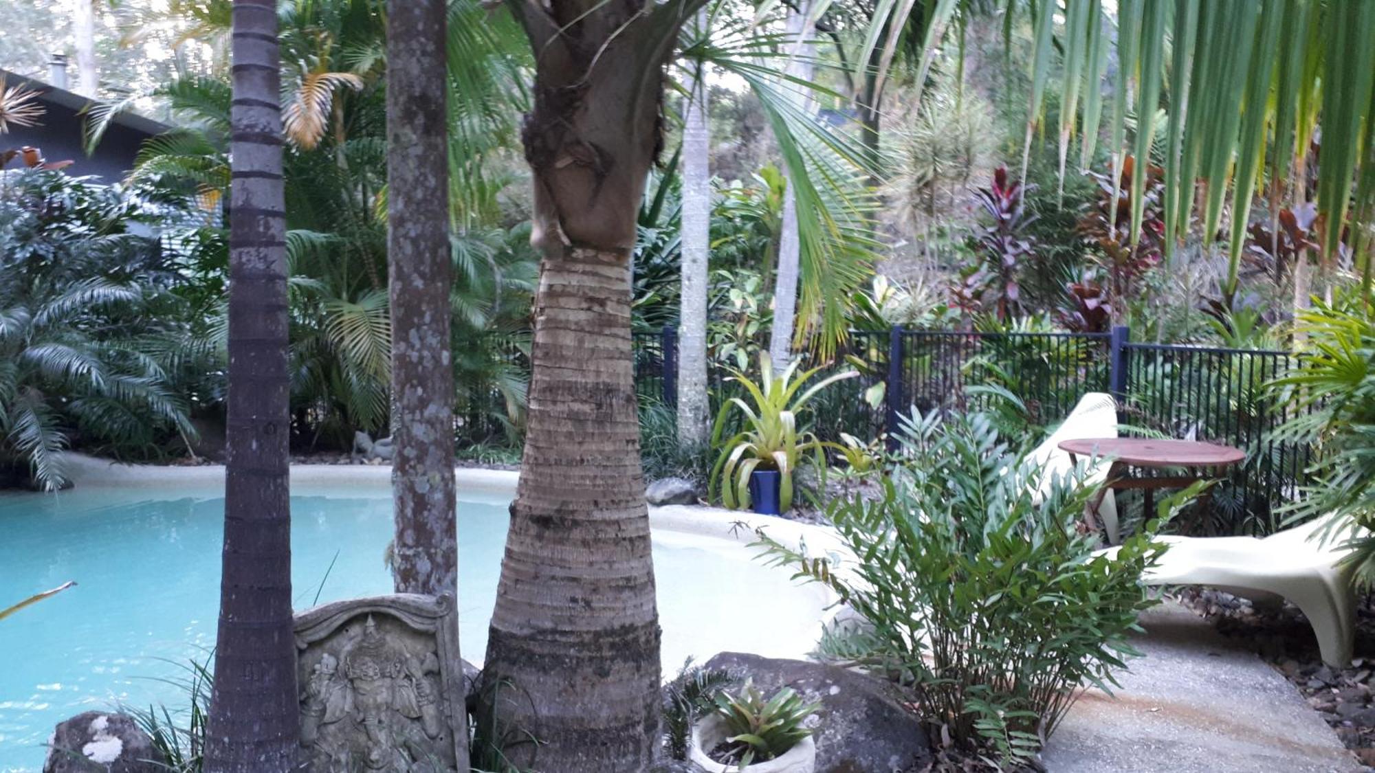 Alaya Escape Bed & Breakfast Eudlo Dış mekan fotoğraf