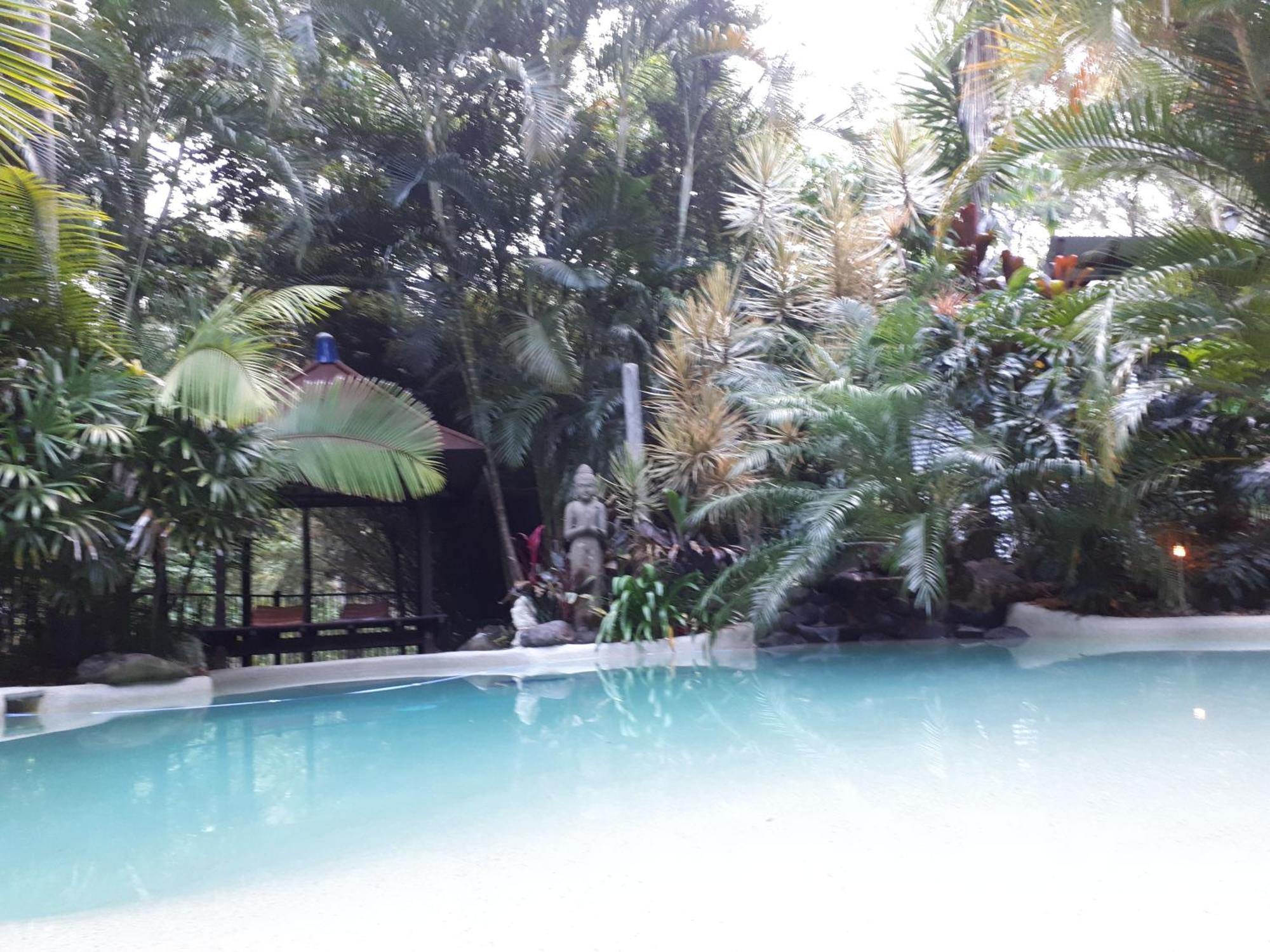 Alaya Escape Bed & Breakfast Eudlo Dış mekan fotoğraf