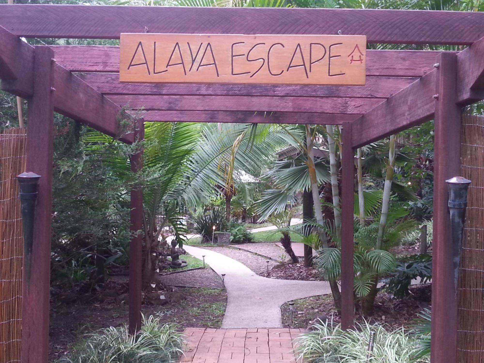 Alaya Escape Bed & Breakfast Eudlo Dış mekan fotoğraf