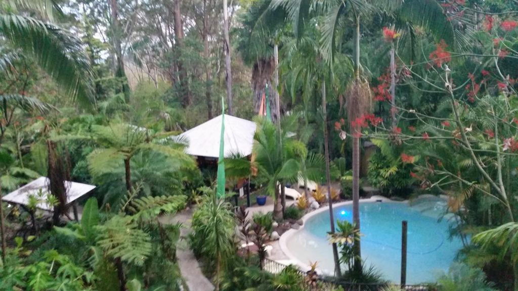 Alaya Escape Bed & Breakfast Eudlo Dış mekan fotoğraf