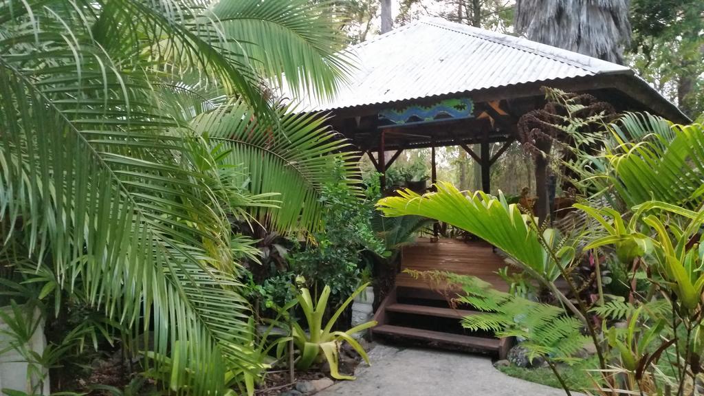 Alaya Escape Bed & Breakfast Eudlo Dış mekan fotoğraf