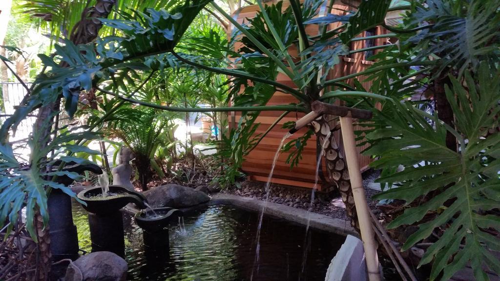 Alaya Escape Bed & Breakfast Eudlo Dış mekan fotoğraf