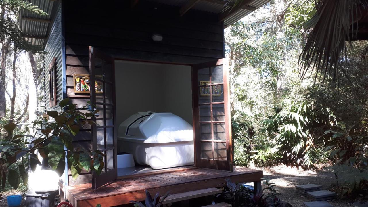 Alaya Escape Bed & Breakfast Eudlo Dış mekan fotoğraf